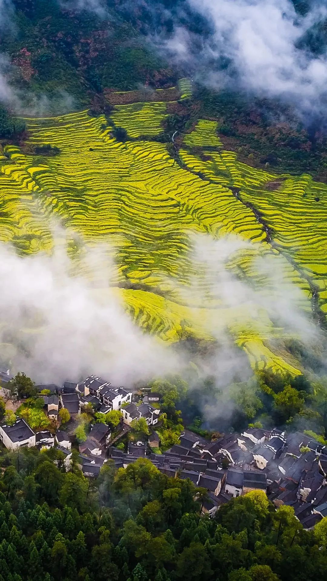 共聚江西，致敬领导与嘉宾——江西同胞深情汇聚