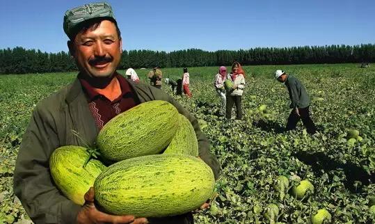 新疆的魅力与风情