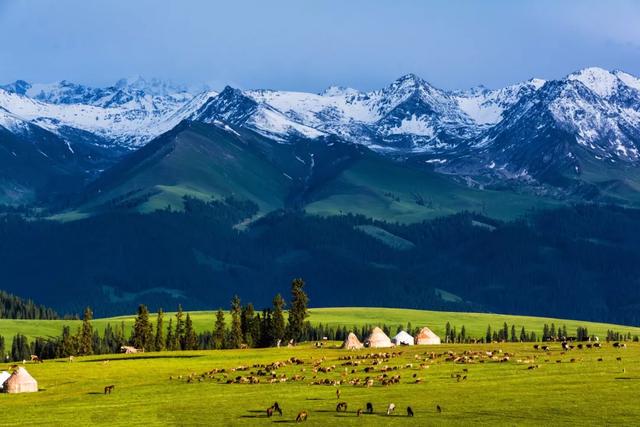 新疆，领导与朋友共聚的尊贵时刻