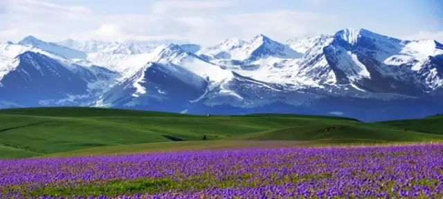 新疆,领导与朋友共聚的尊贵时刻